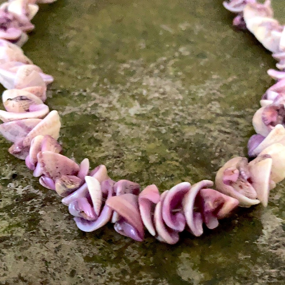 Choker/bracelet in purple shells.
